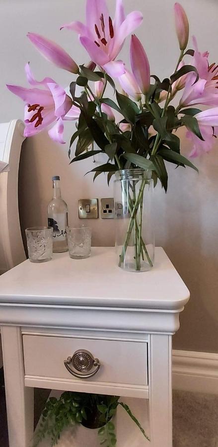 The Canalside B&B At The Auld Shebeen Bar Athy Eksteriør billede
